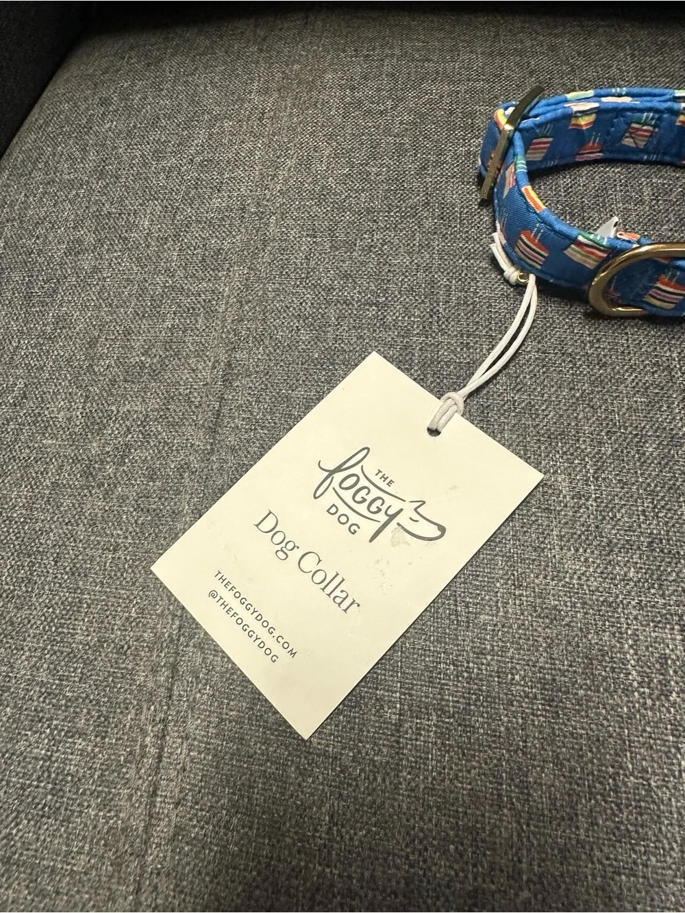 The Foggy Dog Make A Wish Birthday Dog Collar